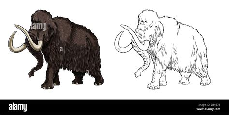 Prehistoric animals. Illustration with extinct Elephant - mammoth. Drawing for coloring book ...