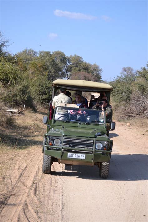 Zuid-Afrika - Safari - Jeep | Safari jeep, African animals, Safari