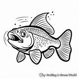 Trout Coloring Pages  Free & Printable sketch template