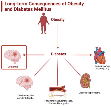 IJMS | Free Full-Text | The Role of Obesity and Diabetes in Dementia