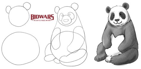 Easy Panda Drawing Guide In 5 Steps [Video + Illustrations]