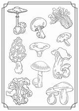 Mushroom Printable Coloring Pages sketch template