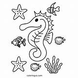 Ocean Coloring Pages Free Printable PDF sketch template