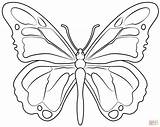 Butterfly coloring page  Free Printable Coloring Pages sketch template
