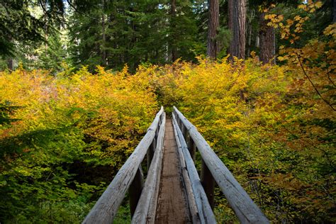 Clear Lake - Hike Oregon