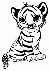 Free Printable Tiger Coloring Pages  Printable Templates sketch template