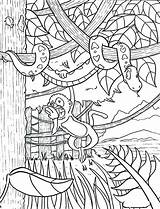 Tropical Rainforest Animals Coloring Pages At GetDrawings  Free Download sketch template