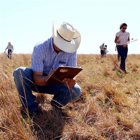 Ranch Management Overview | Academic Majors & Programs | Texas ...