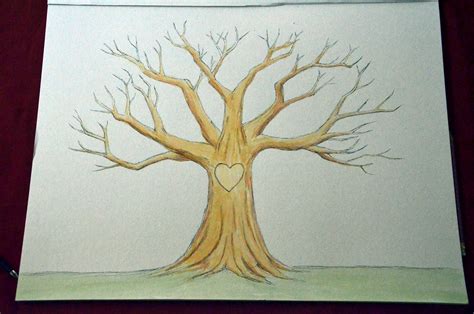 Tree Without Leaves Drawing at PaintingValley.com | Explore collection ...