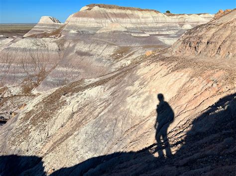 Hike the Historic Blue Forest Trail - WildPathsAZ