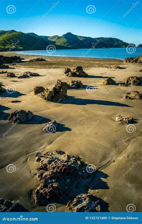 Cape Hillsborough National Park and Beach at Sunset, Queensland, Australia Stock Photo - Image ...