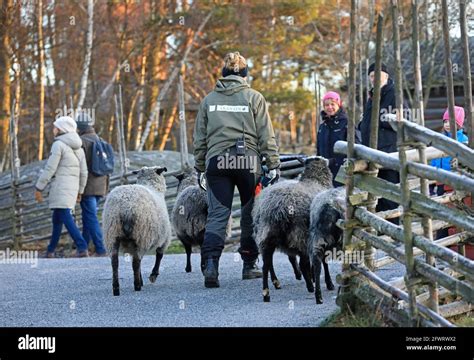 Christmas market at Skansen, in the city of Stockholm, Sweden Stock Photo - Alamy