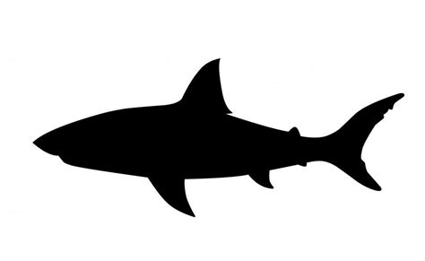 Free Stock Photo of shark Silhouette | Download Free Images and Free Illustrations
