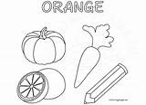 Color Activity Sheet Orange – Coloring Page sketch template