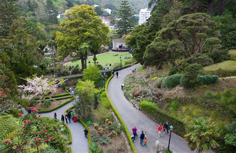 Kiwi Guardians at Wellington Botanic Gardens