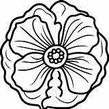 Poppies Flower Coloring Page Free Printable Pages sketch template