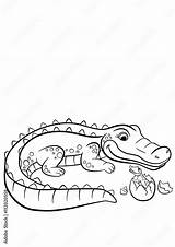 Baby Crocodile Coloring Page sketch template