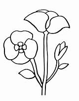 Poppies Printable Coloring Page Free PDF sketch template