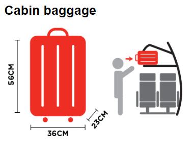 Standard Luggage Size For Checked Baggage Cebu Pacific | IUCN Water