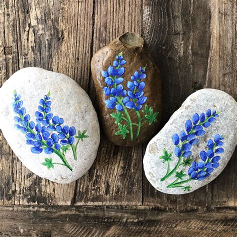 Bluebonnet Painted Rocks. Spring flowers. Kindness rocks project ...