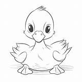 Cute Little Duck Coloring Page Outline Sketch Drawing Vector  sketch template