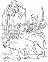 Printable Coloring Pages Wolf sketch template