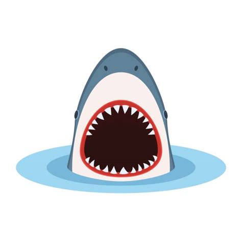 Clipart Sharks