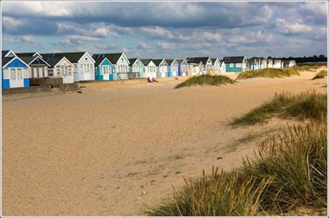 8 Dog-friendly Beaches in Dorset