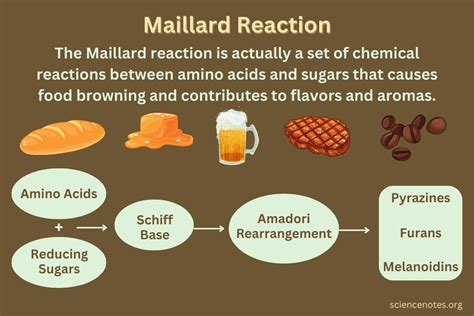 Maillard Reaction In Food Top Sellers | www.aikicai.org