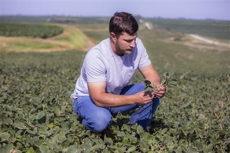 Maximize Soybean Yields | AdvanSix