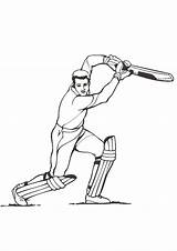 Coloring Pages  Printable Cricket Page sketch template