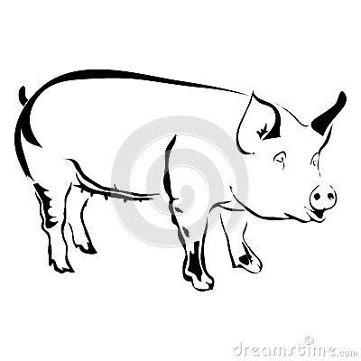 Outline Of A Pig | Free download on ClipArtMag