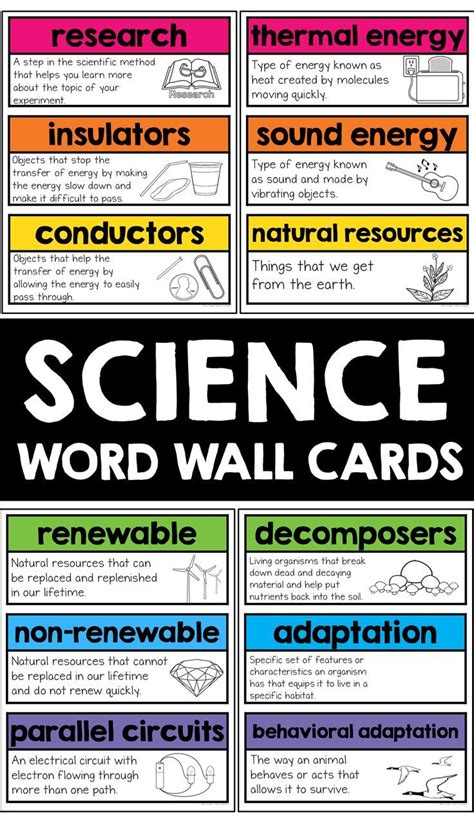 Science Word Wall Cards in 2020 | Science word wall, Science words ...