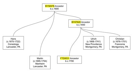 Origins of the R1a Haplogroup Anabaptist Meyer Family