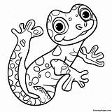 Playful Gecko Coloring Page  Pagescom sketch template