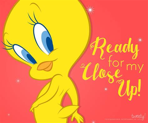 Tweety Bird | Tweety bird quotes, Tweety, Bird quotes