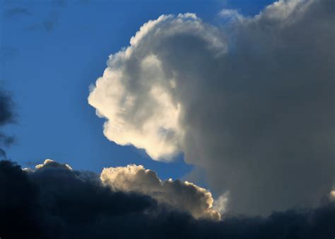 Animated Cloud Free Stock Photo - Public Domain Pictures