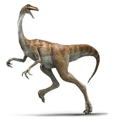 Gallimimus | Extinct Animals