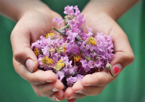 Mains Enfant Fleur - Photo gratuite sur Pixabay