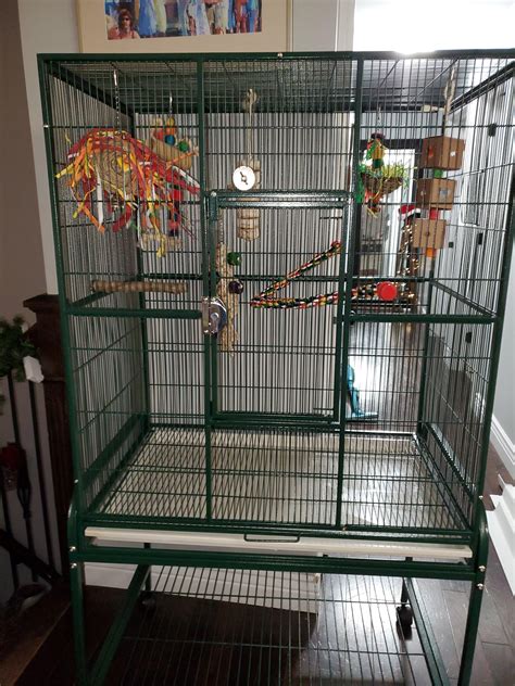 I'm getting a green cheek conure soon and this is my cage so far (more ...