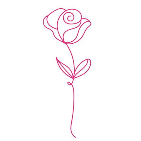 Rose Line Art Vector, Cute Rose, Rose Liner, Flower PNG and Vector with Transparent Background ...