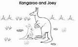 Kangaroo Joey Coloring Page sketch template