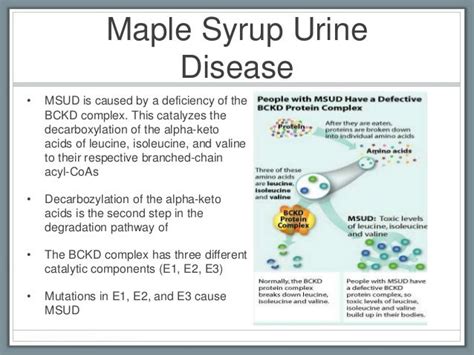 Maple Syrup Urine Disease-Causes, Symptoms And Prevention