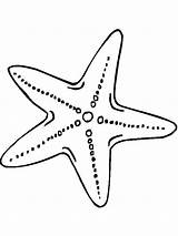 Free Printable Starfish Coloring Pages sketch template