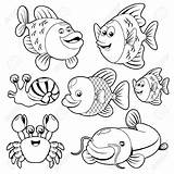 Water Animals Coloring Pages At GetColoringscom  Free Printable sketch template