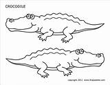 Crocodile Coloring sketch template