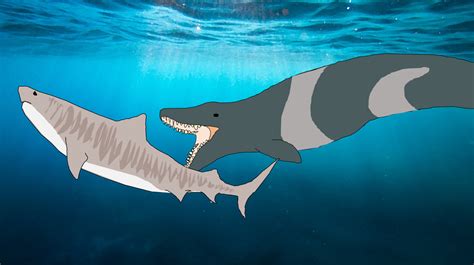 Basilosaurus Vs Megalodon