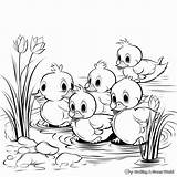 5 Little Ducks Coloring Pages  Free & Printable sketch template