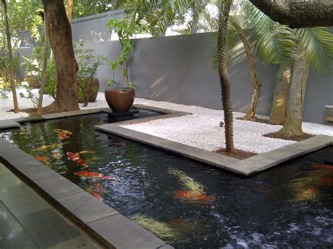 Timeline Photos - Golden Koi Centre | Facebook | Koi pond backyard, Garden pond design, Ponds ...