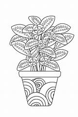 Coloring Houseplant Plant House Drawing Getdrawings Sketch Page sketch template